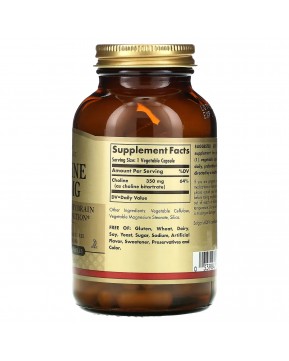 Solgar, Холин, 350 мг, 100 растительных капсул